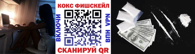 hydra вход  Железногорск-Илимский  Cocaine FishScale 