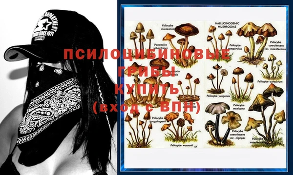 винт Михайловка