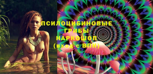 ГАЛЛЮЦИНОГЕННЫЕ ГРИБЫ Волосово