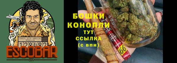 мдпв Вязьма
