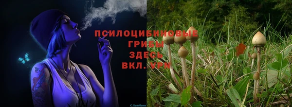 мяу мяу мука Верхний Тагил