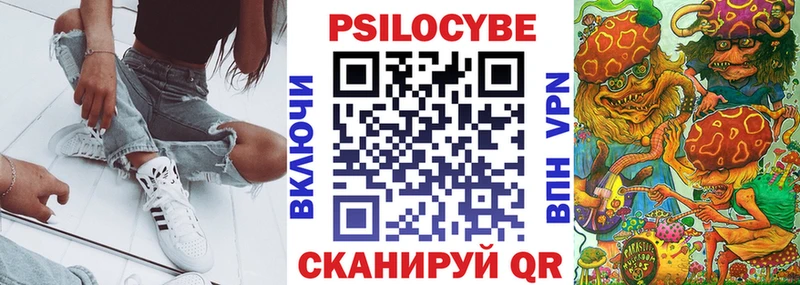 Галлюциногенные грибы Psilocybe  Железногорск-Илимский 